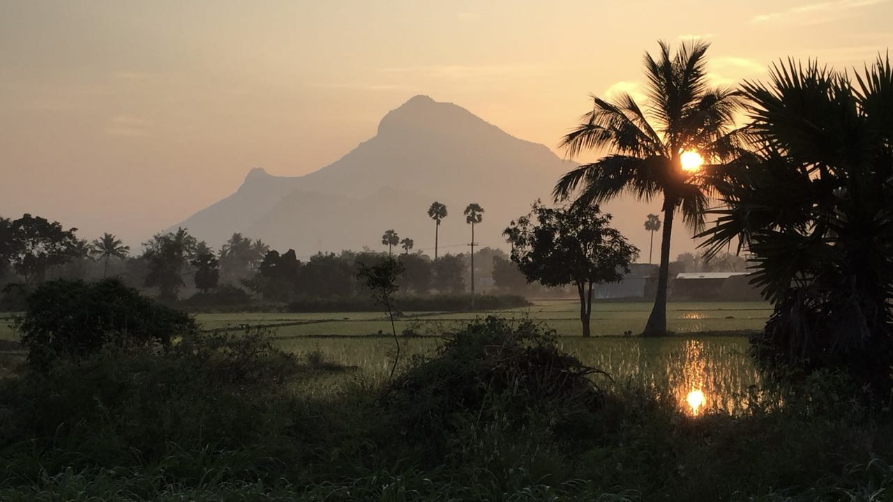 Der heilige Berg Arunachala